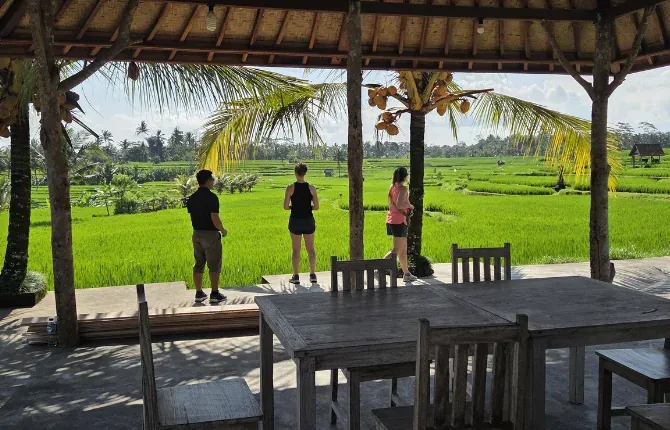 Rice terraces tour in Ubud Bali